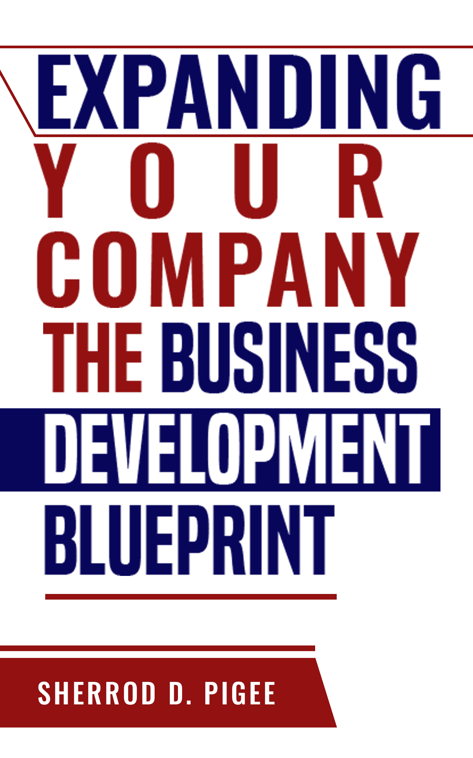 EXPANDING YOUR COMPANY - THE BUSINESS DEVELOPMENT BLUEPRINT